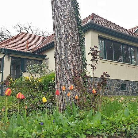 Edit Villa Матрафюред Экстерьер фото