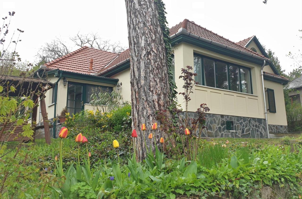 Edit Villa Матрафюред Экстерьер фото